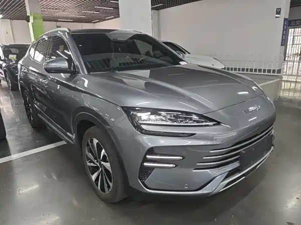 BYD Song PLUS New Energy 2024