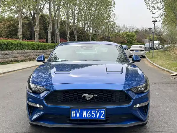 Ford Mustang 2019