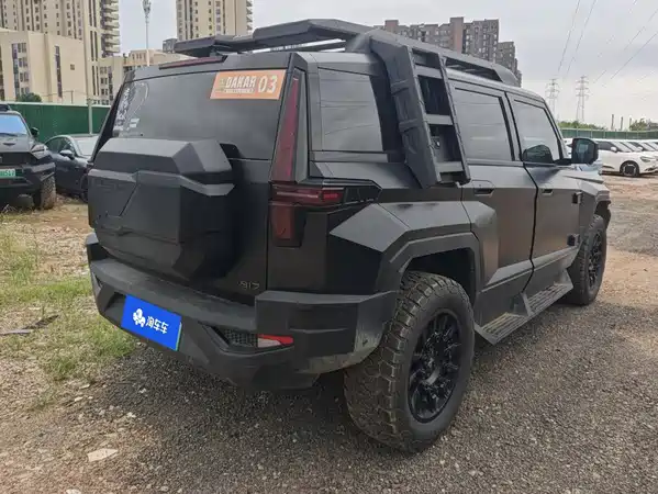 Mengshi 917 2025