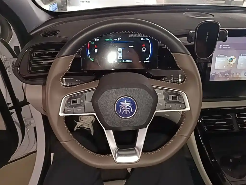 BYD Qin PLUS 2024 — фото 11