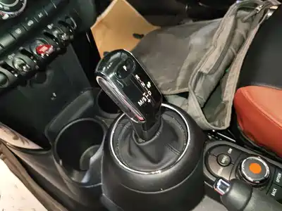MINI MINI 2019