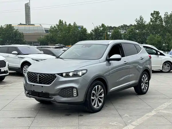 Wey VV6 2020