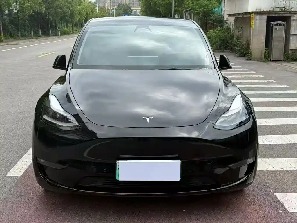 Tesla Model Y 2021 — фото 2
