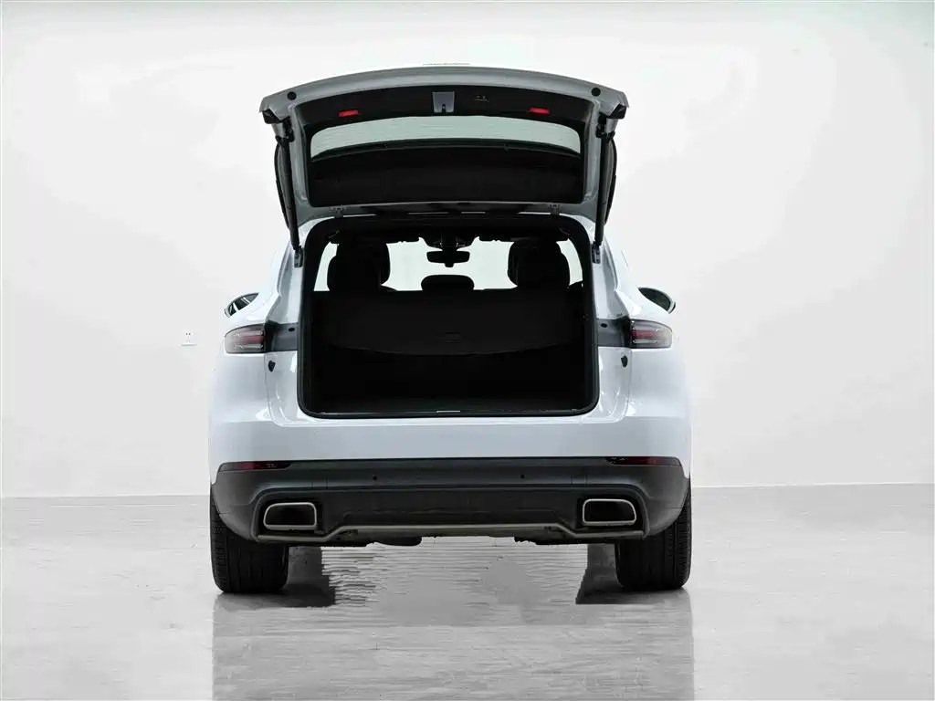 Porsche Cayenne Hybrid 2019 — фото 2
