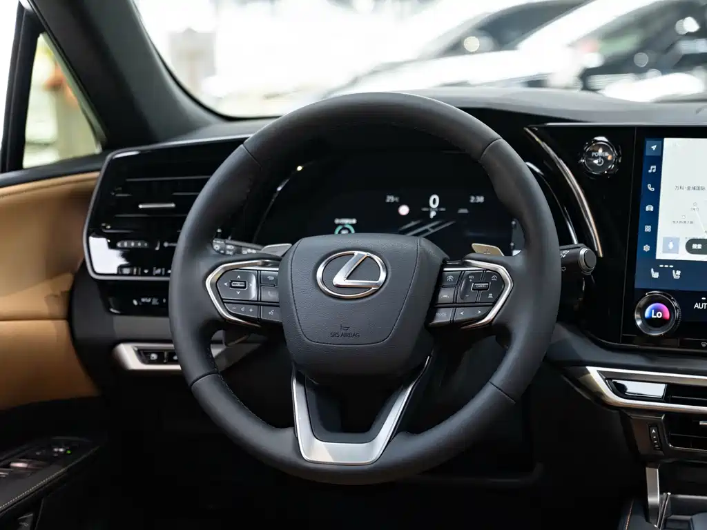 Lexus RX 2024 — фото 14
