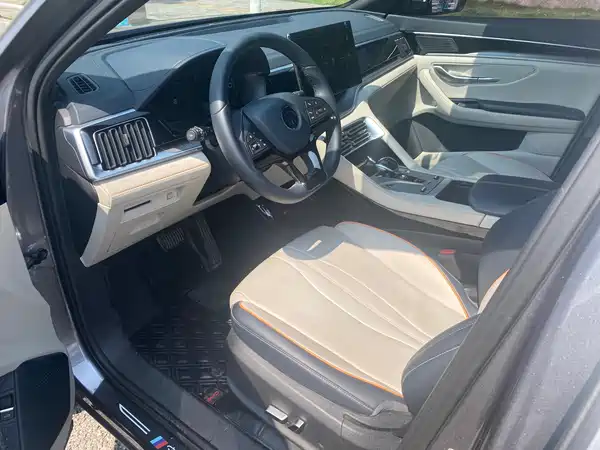 BYD Song PLUS New Energy 2021