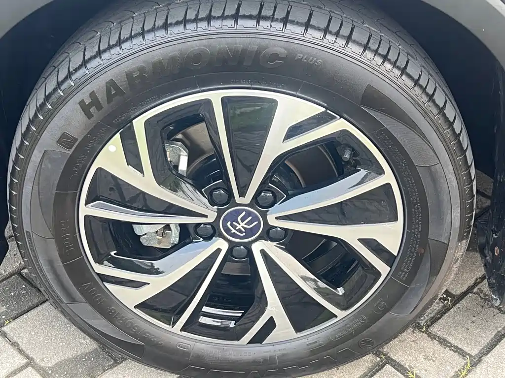 BYD Pro New Energy 2025 — фото 15