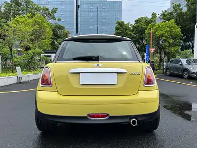 MINI MINI 2010