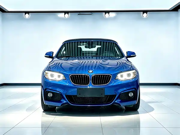 BMW 2 Series 2016
