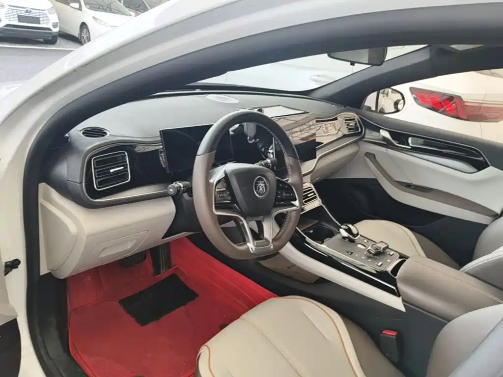 BYD Qin PLUS 2024 — фото 16