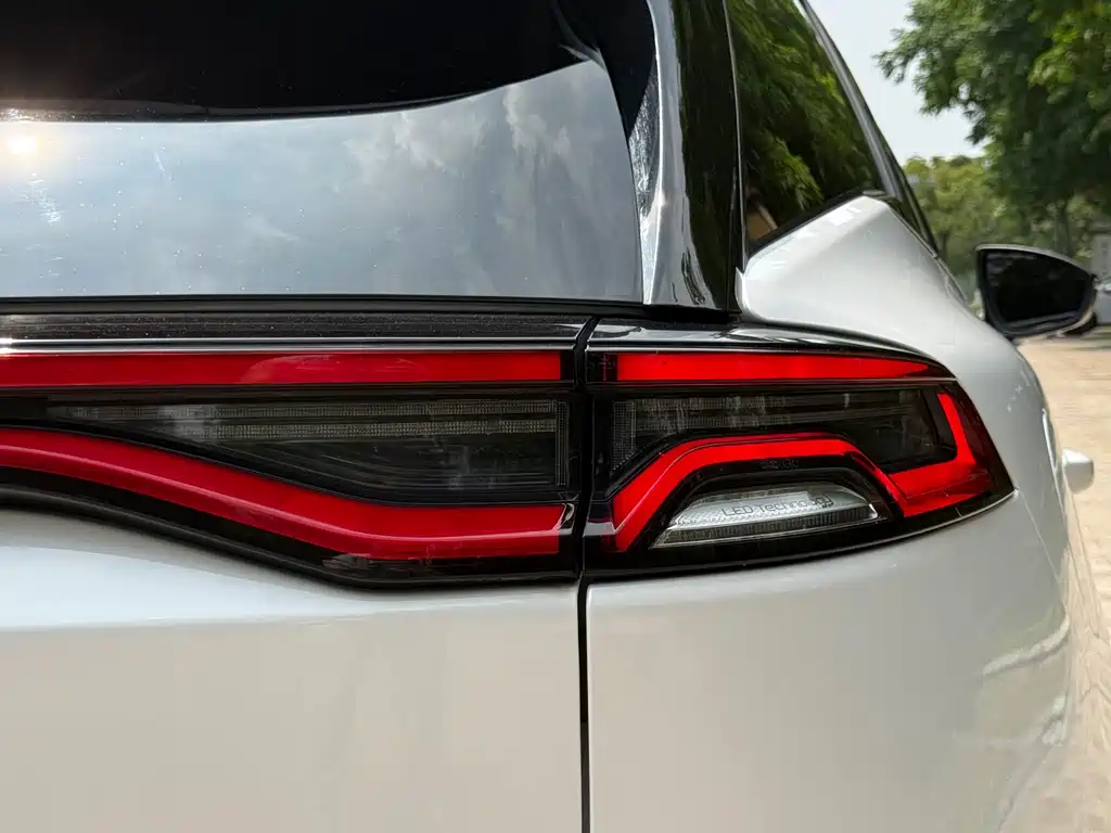 BYD Tang New Energy 2020 — фото 14