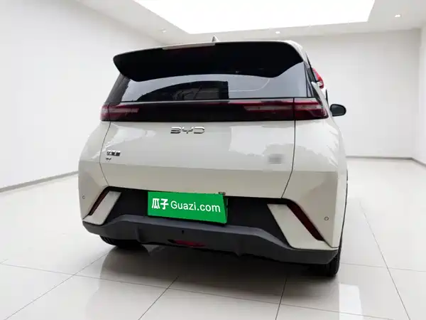 BYD Seagull 2024