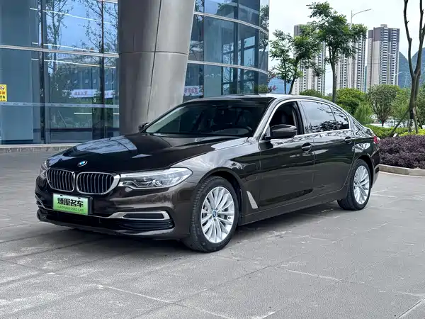 BMW 5 Series New Energy 2019