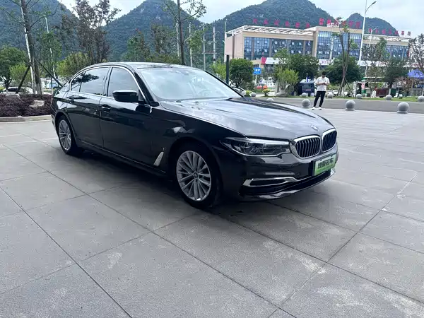 BMW 5 Series New Energy 2019