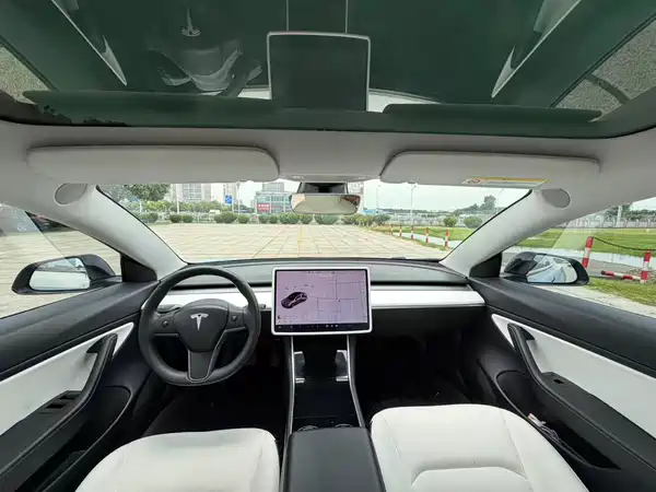 Tesla Model 3 2020