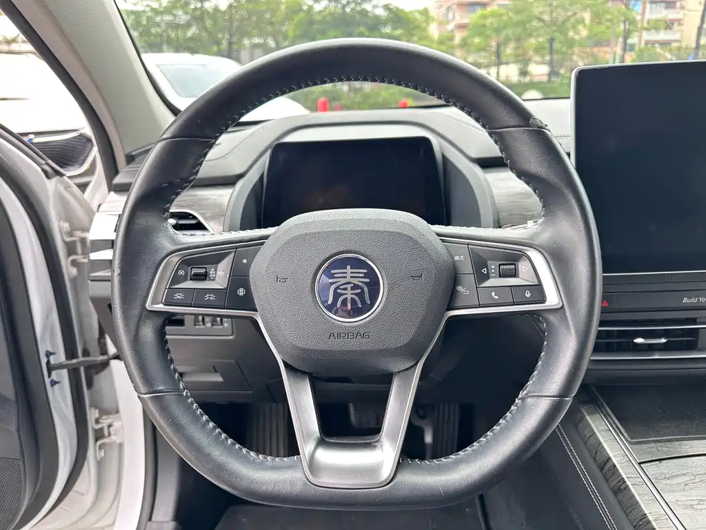 BYD Qin Pro NEV 2018 — фото 16