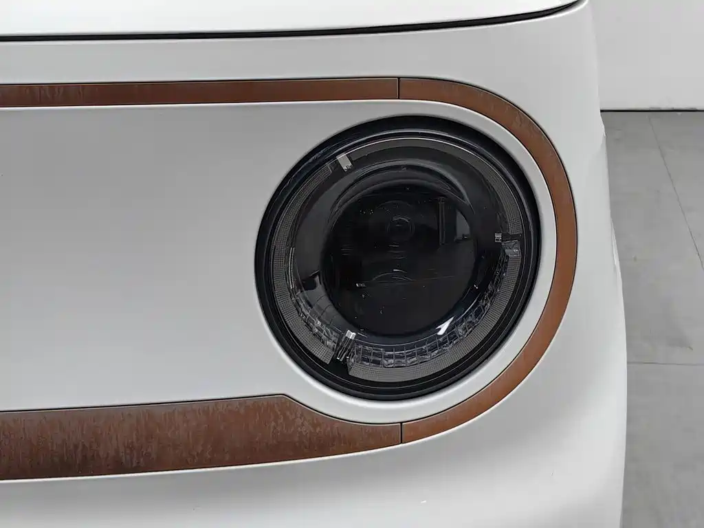 Geely Galaxy Panda 2023