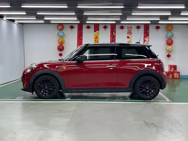 MINI 2018