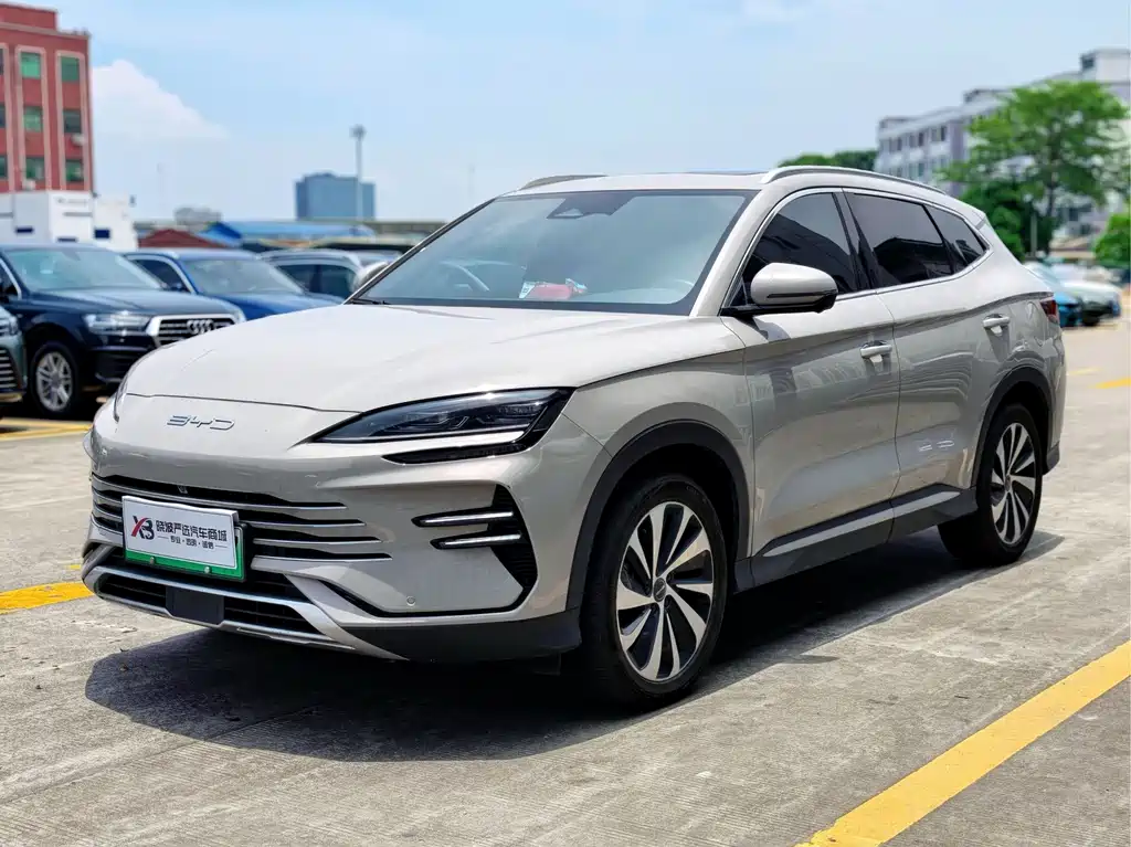 BYD PLUS New Energy 2023 — фото 1