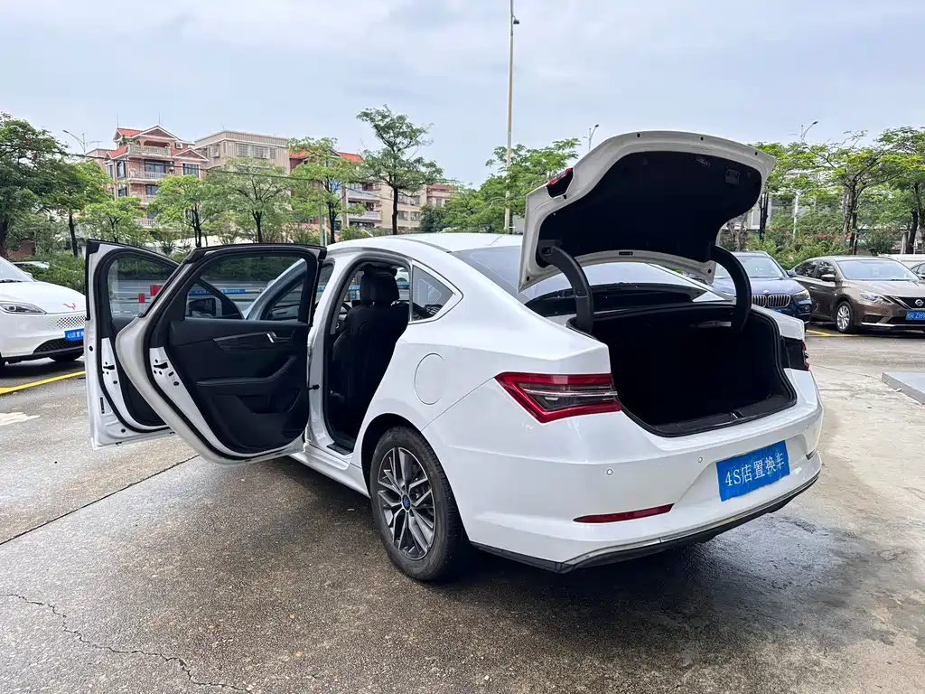 BYD Qin Pro NEV 2018 — фото 22