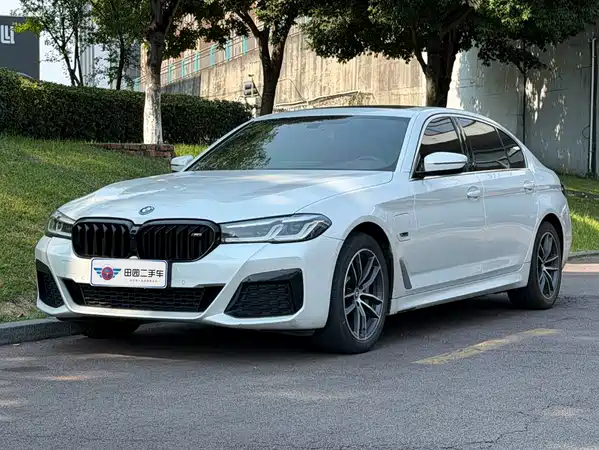 BMW 5 Series New Energy 2023