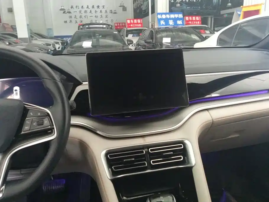 BYD Song PLUS New Energy 2022 — фото 13