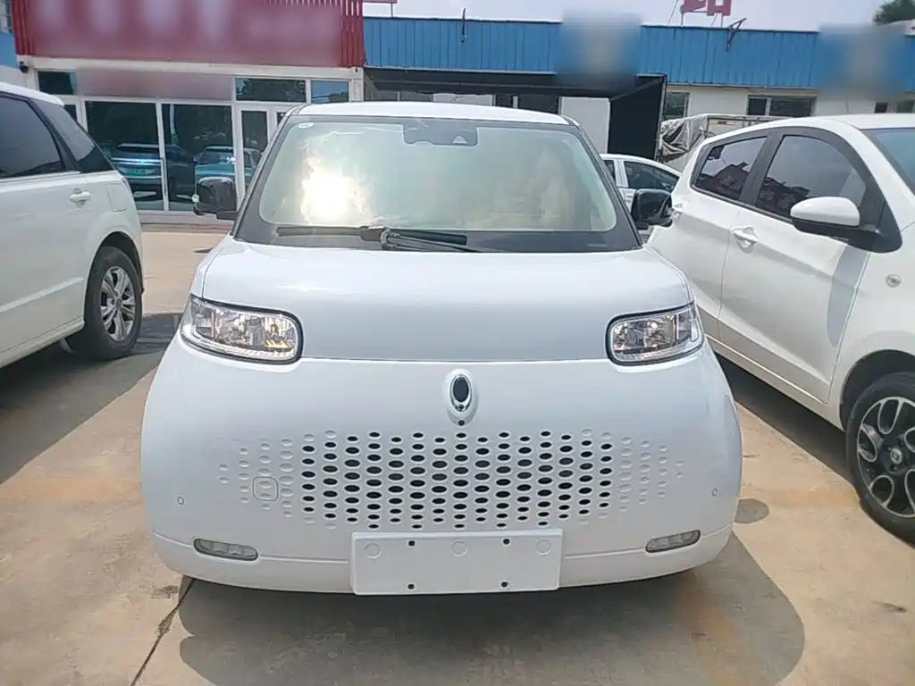 Ora White Cat 2021