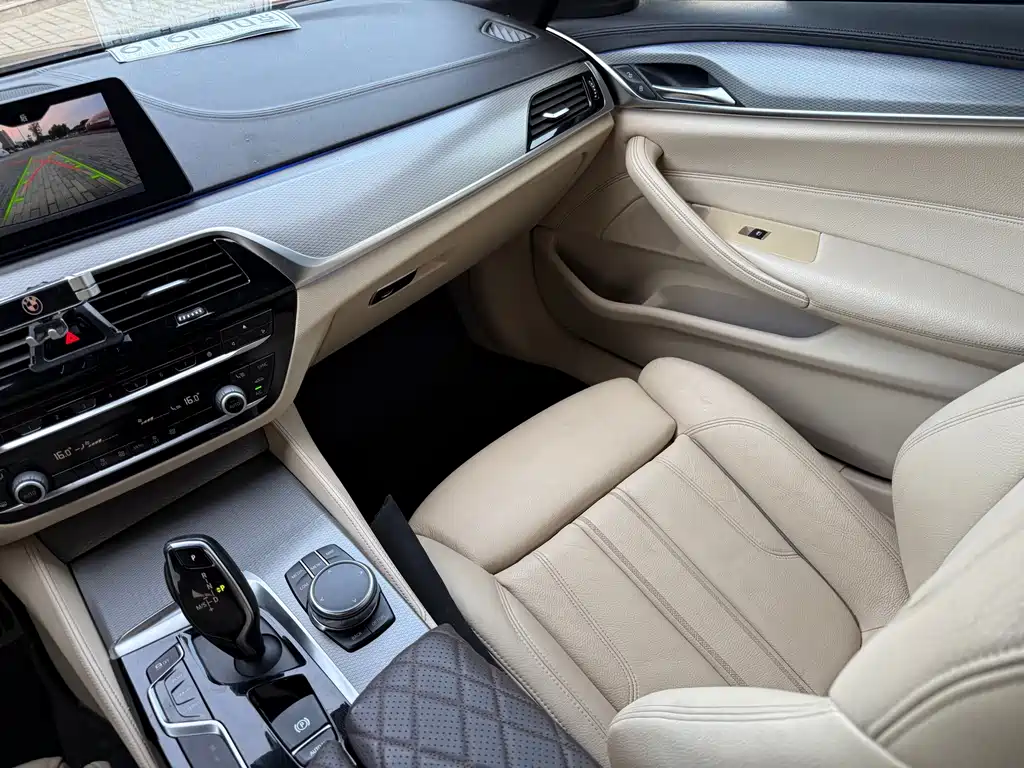 BMW 5 Series 2018 — фото 16
