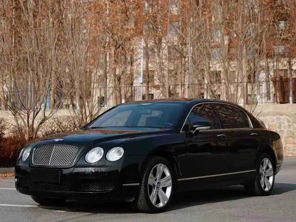 Bentley Flying Spur 2008 — фото 3