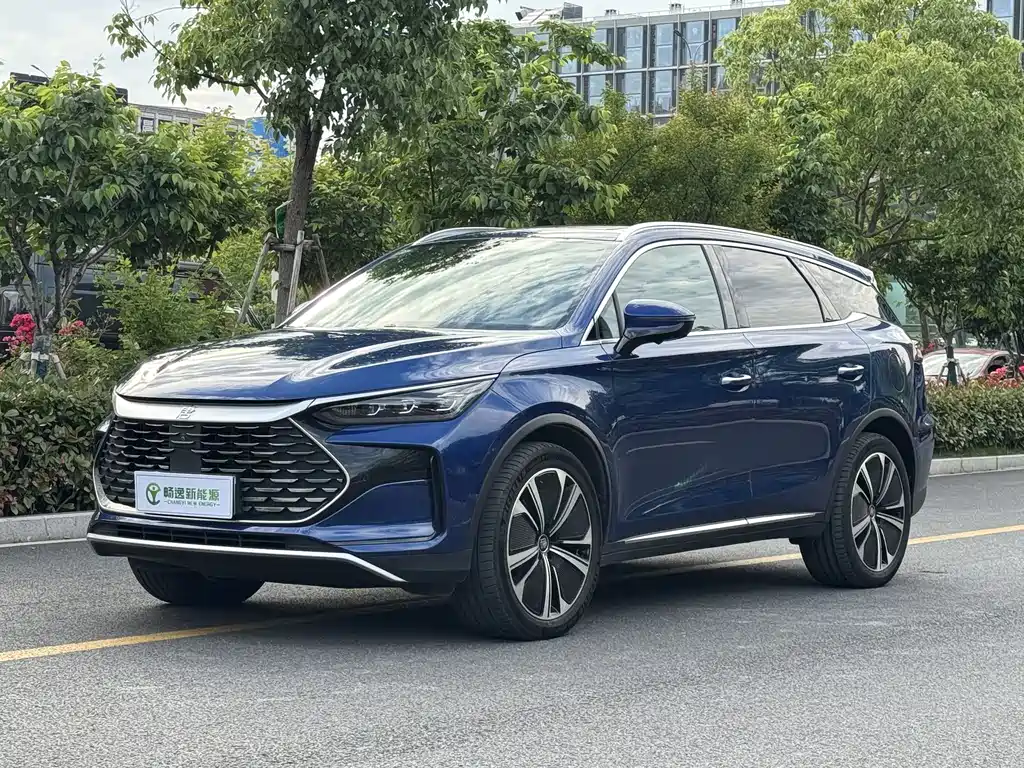 BYD Tang New Energy 2022 — фото 1