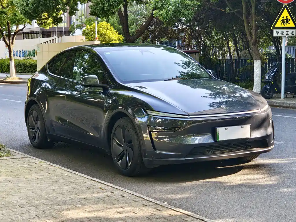 Tesla Model Y 2025 — фото 3