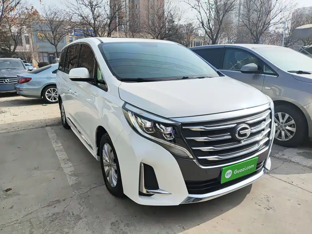 GAC Trumpchi M8 2020 — фото 22
