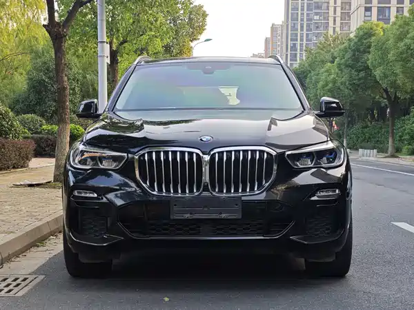BMW X5 2019