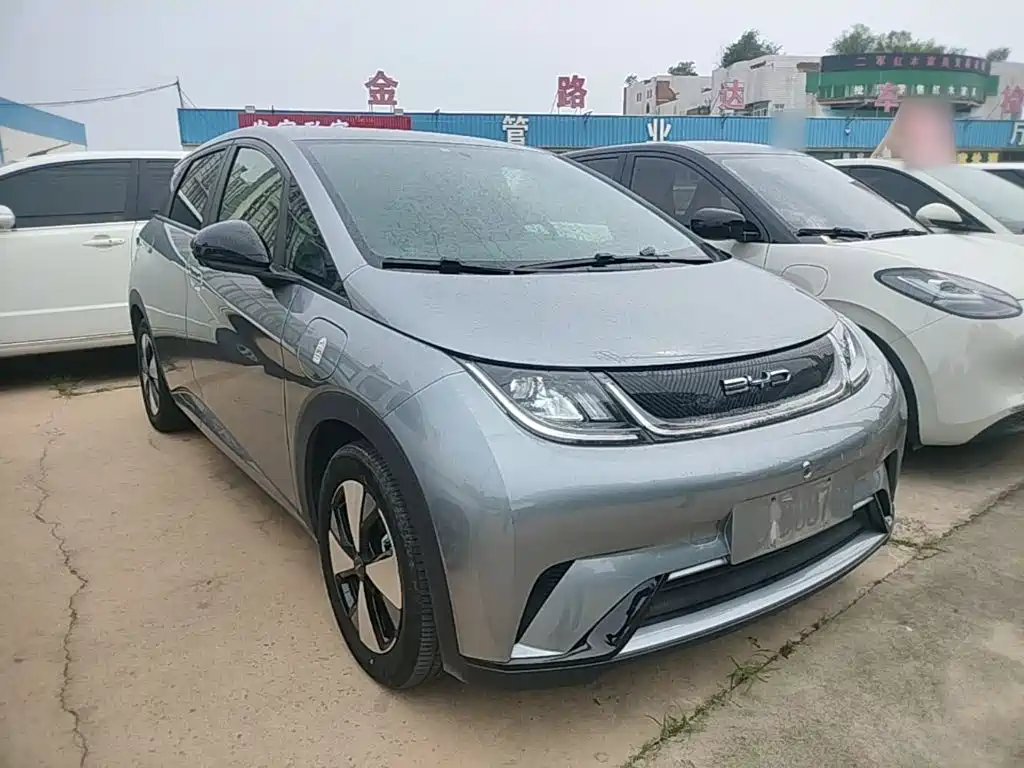 BYD Dolphin 2023