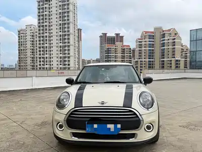 MINI MINI 2021