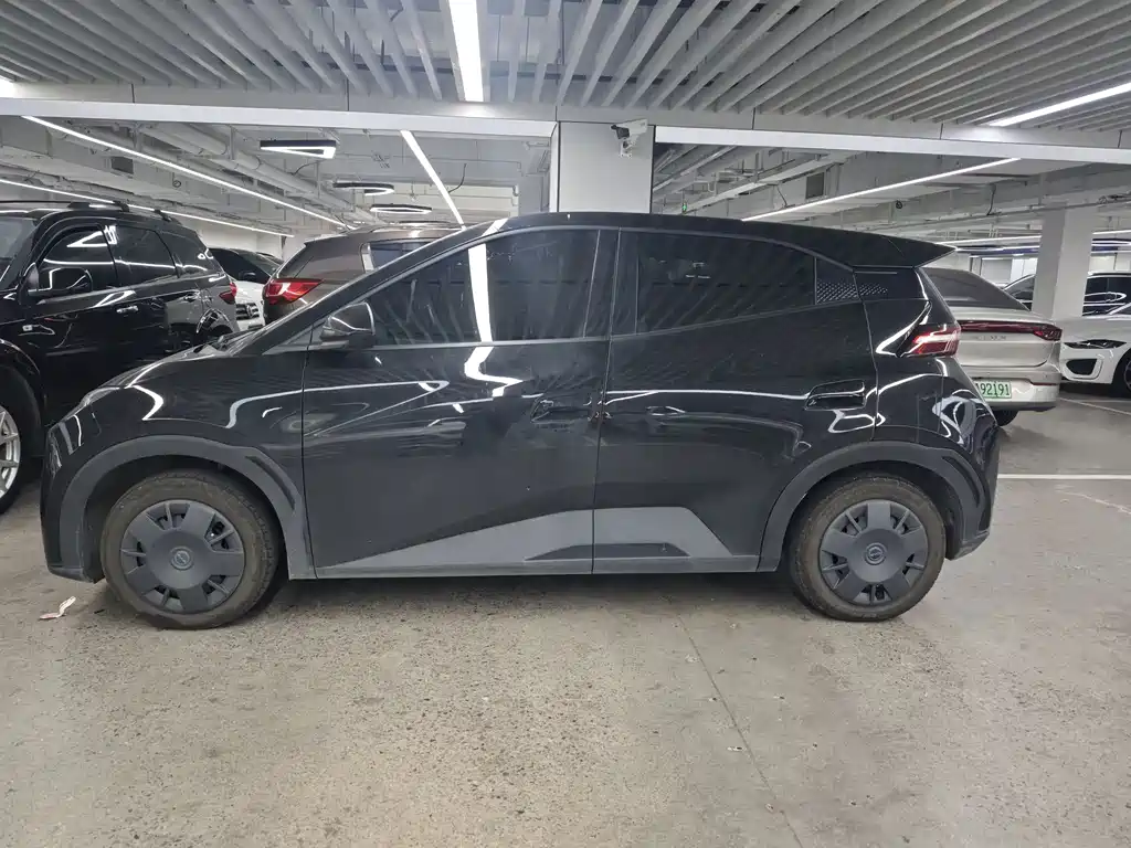 BYD Seagull 2025