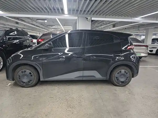 BYD Seagull 2025