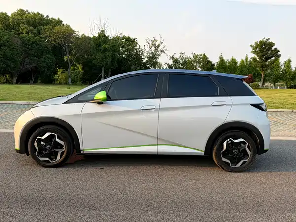 BYD Dolphin 2022