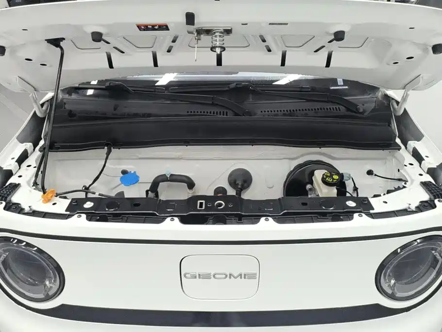 Geely Galaxy Panda 2025 — фото 10