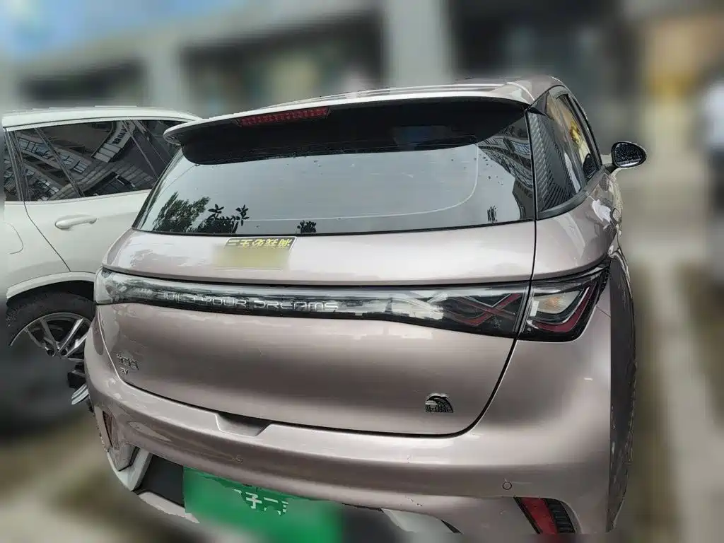 BYD Dolphin 2022