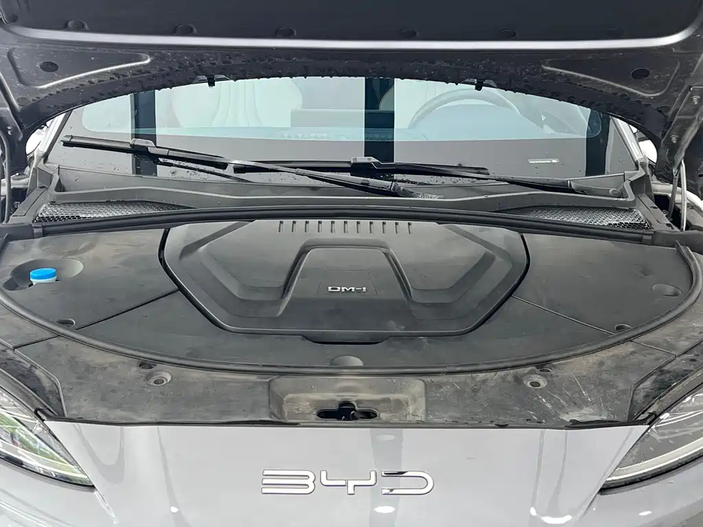 BYD PLUS New Energy 2023 — фото 4