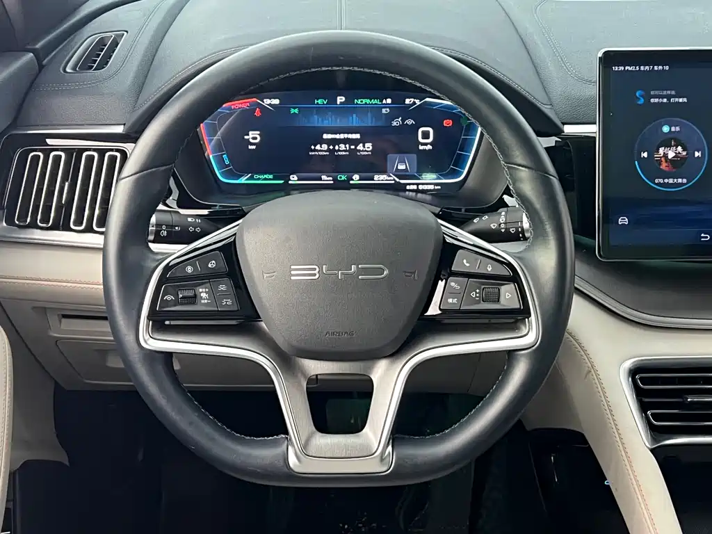 BYD PLUS New Energy 2023 — фото 17
