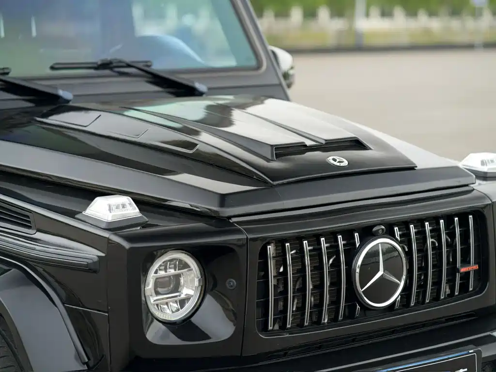 Mercedes-Benz G-Class 2018 — фото 11