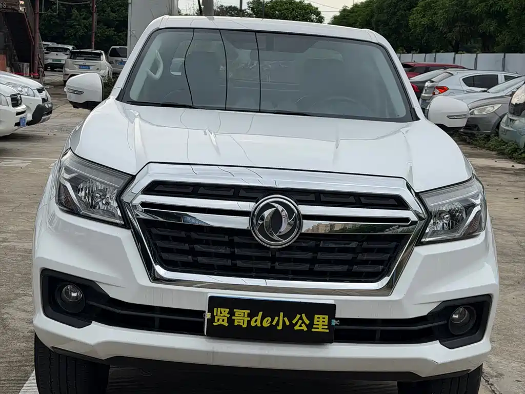 Dongfeng Ruiqi 2022