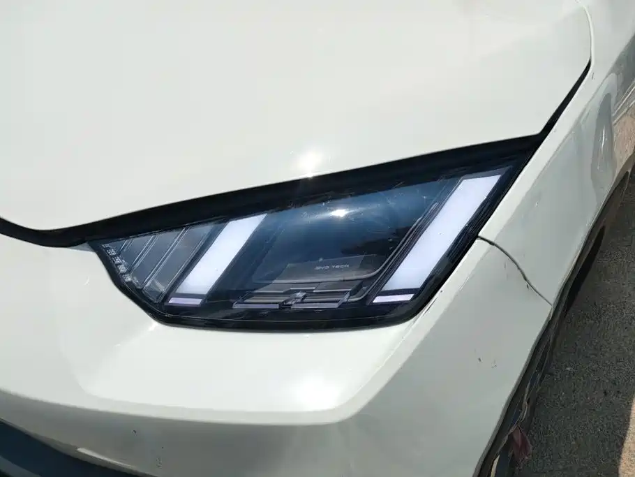 BYD Seagull 2024