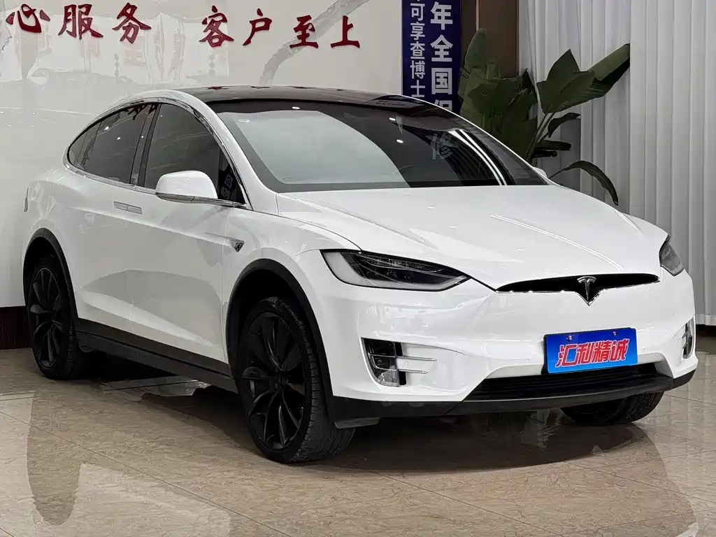 Tesla Model X 2016 — фото 3