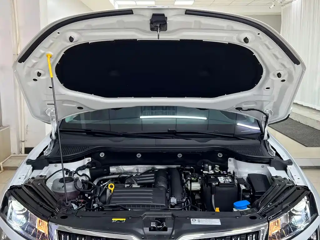 Skoda Karoq 2023 — фото 20