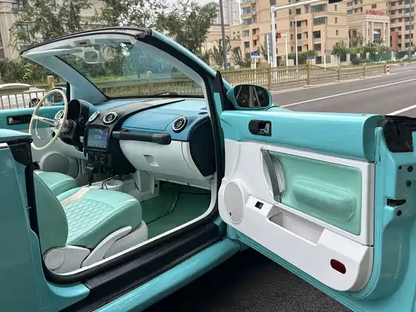 Volkswagen Beetle 2009