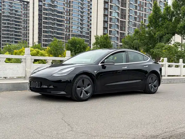 Tesla Model 3 2020