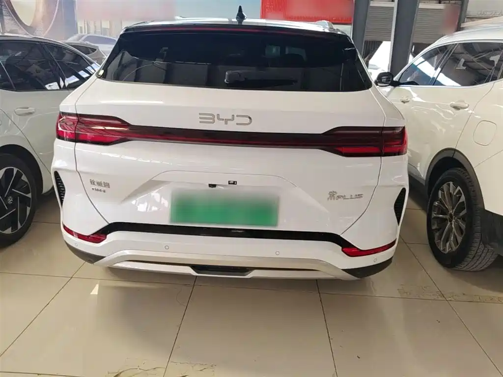 BYD PLUS New Energy 2024 — фото 6